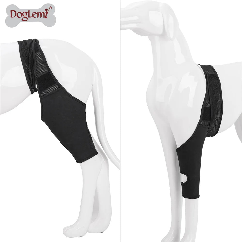 French Bulldog Joint/Hip Orthopedic Recovery belt