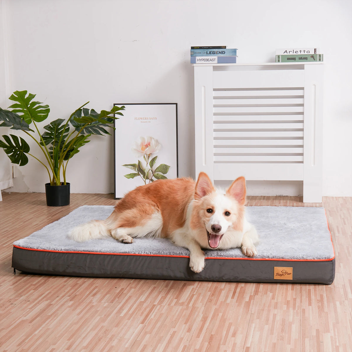 French Bulldog Orthopedic Dog Bed Memory Foam With Removable Washable Cover  Bottom Joint